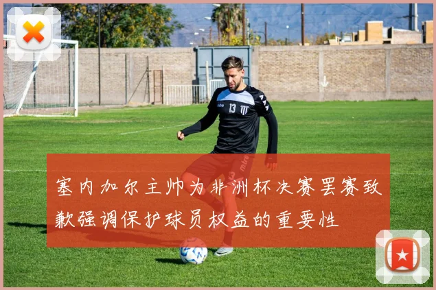 塞内加尔主帅为非洲杯决赛罢赛致歉强调保护球员权益的重要性
