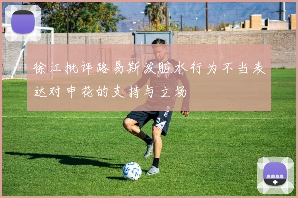 徐江批评路易斯泼脏水行为不当表达对申花的支持与立场